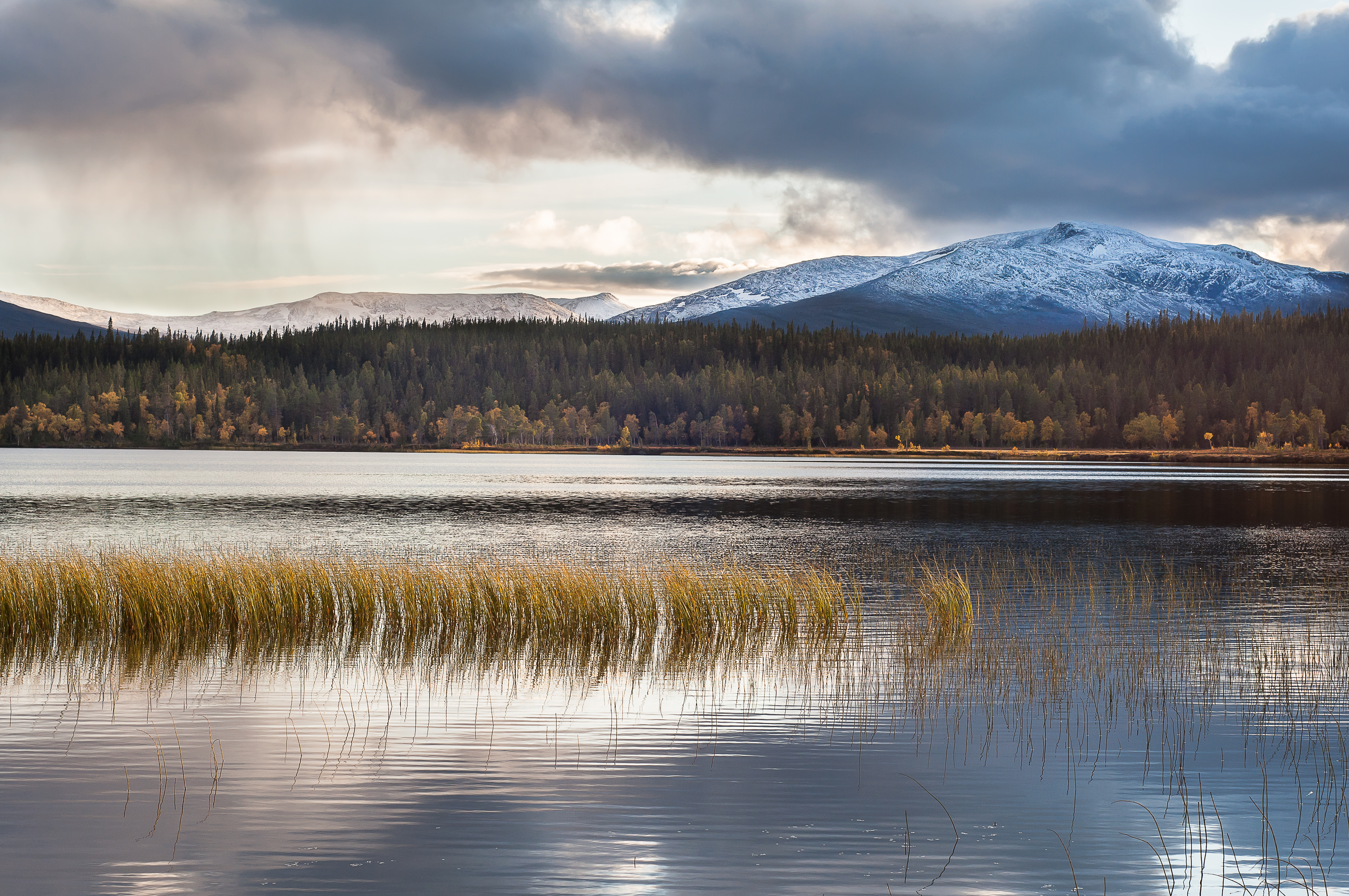 Beskrivning av bild 2