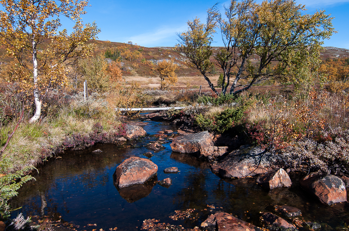 Beskrivning av bild 3