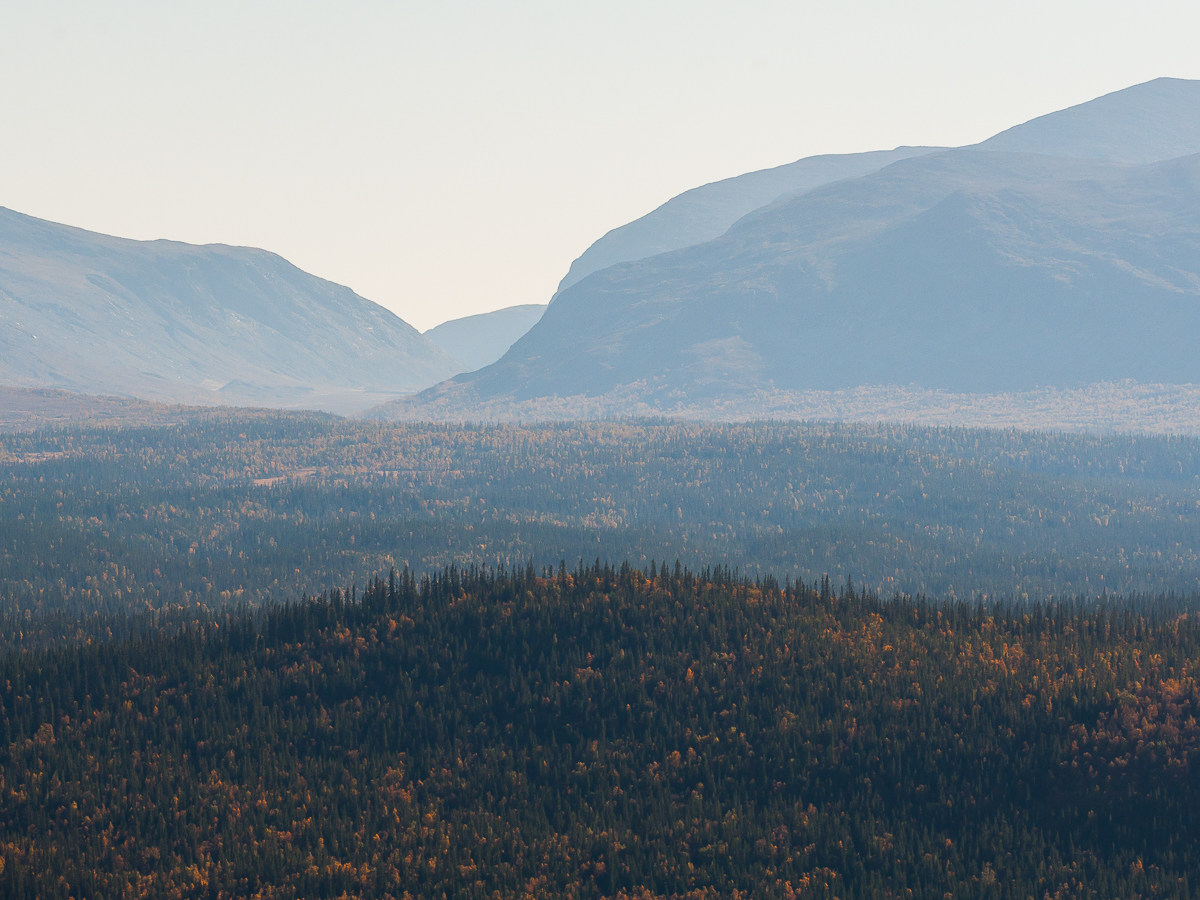 Beskrivning av bild 5