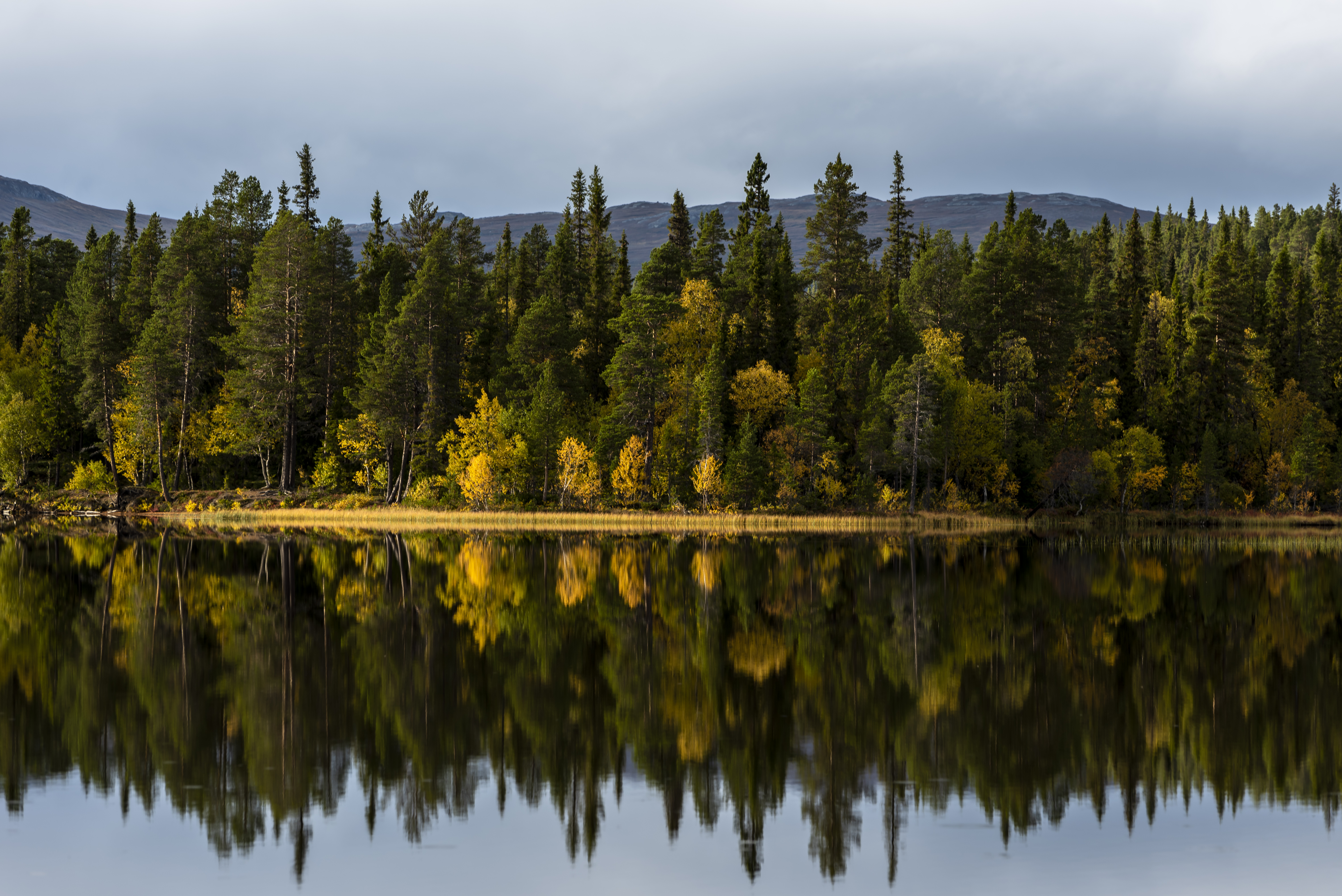 Beskrivning av bild 6